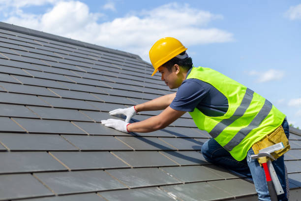 Best Roof Moss and Algae Removal  in Sissonville, WV