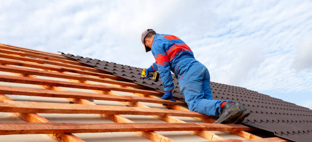 Best Asphalt Shingle Roofing  in Sissonville, WV